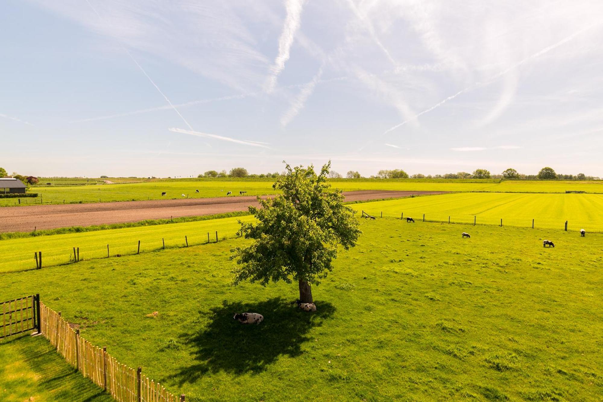 Boerderij De Zalm Panzió Schalkwijk Kültér fotó