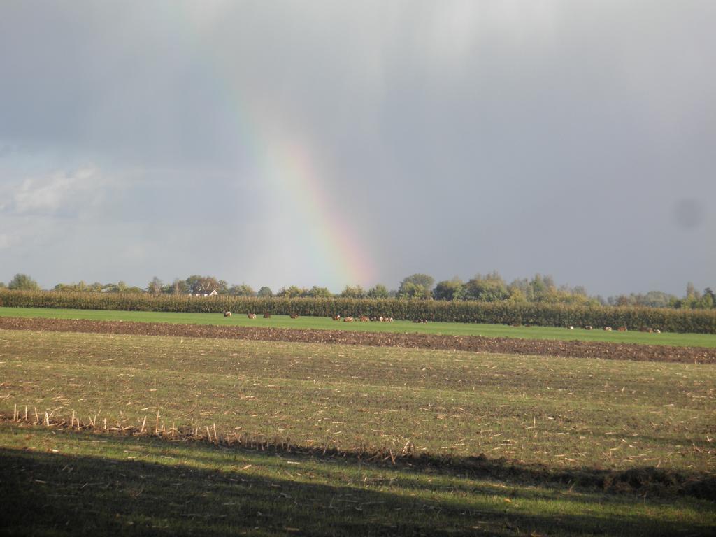 Boerderij De Zalm Panzió Schalkwijk Kültér fotó