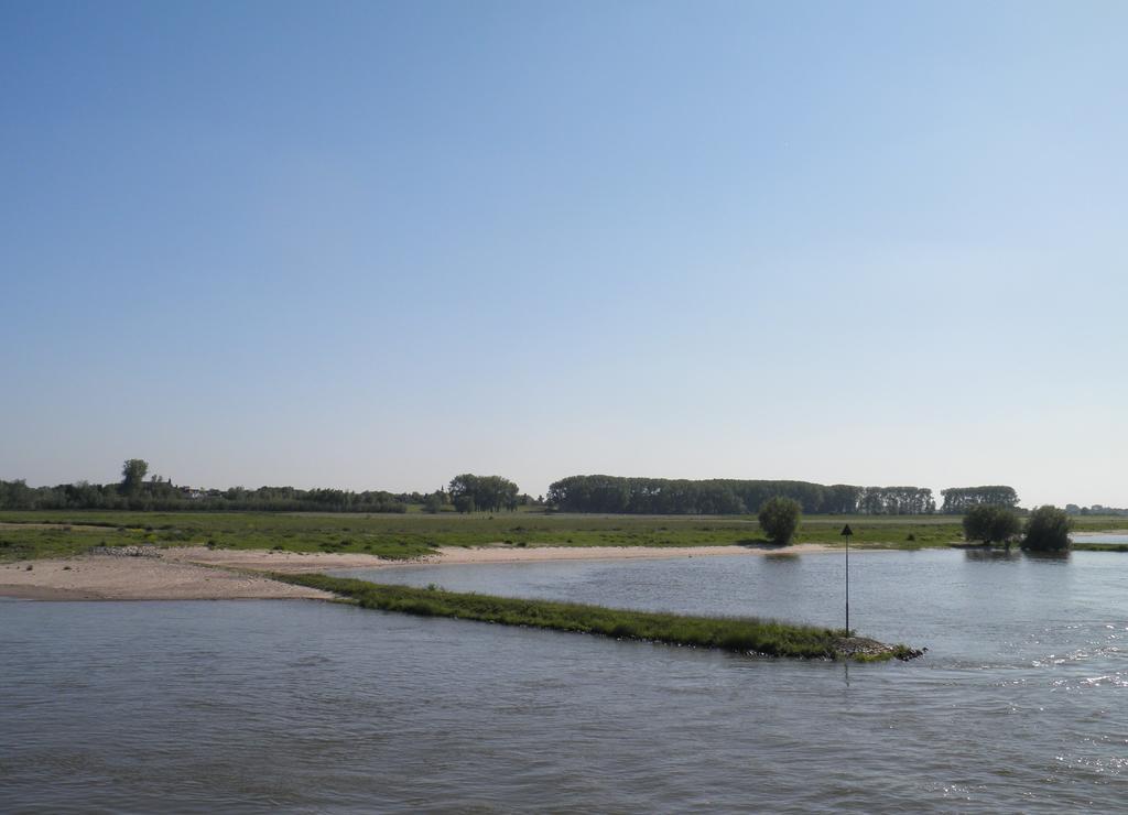 Boerderij De Zalm Panzió Schalkwijk Kültér fotó